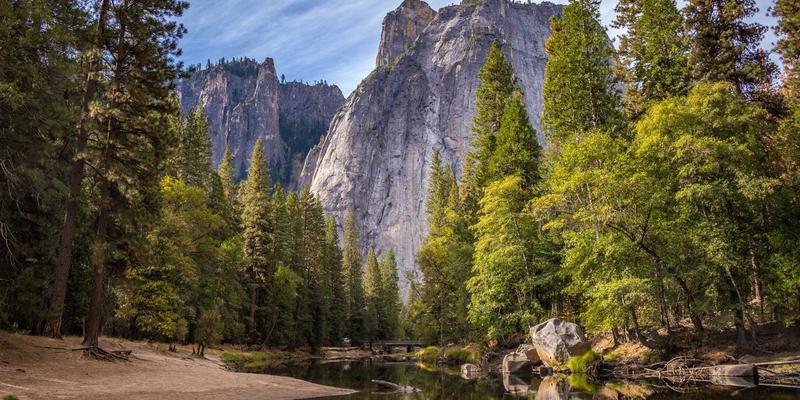 从云南花田到原木风花艺：揭秘鲜花电商的冷链物流与供应链优化之道