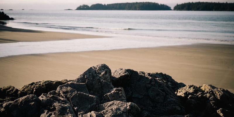 从古典文学到原木风花艺：解读鲜花意象的千年文化密码