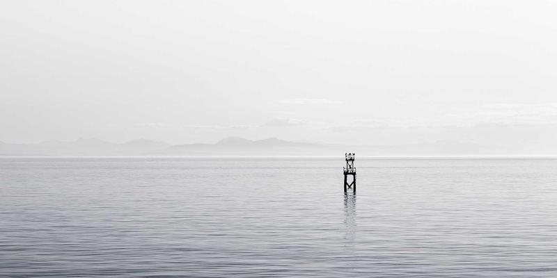 从《红楼梦》花签到莫奈睡莲：古典文学艺术中的鲜花意象与现代花艺配送的浪漫联结