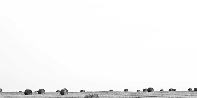 从花艺设计到情感传递：解码国内外顶尖鲜花品牌的定位与商业模式