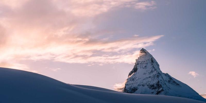 从荷兰拍卖到您手中：揭秘花束与花艺设计背后的全球供应链与配送成本