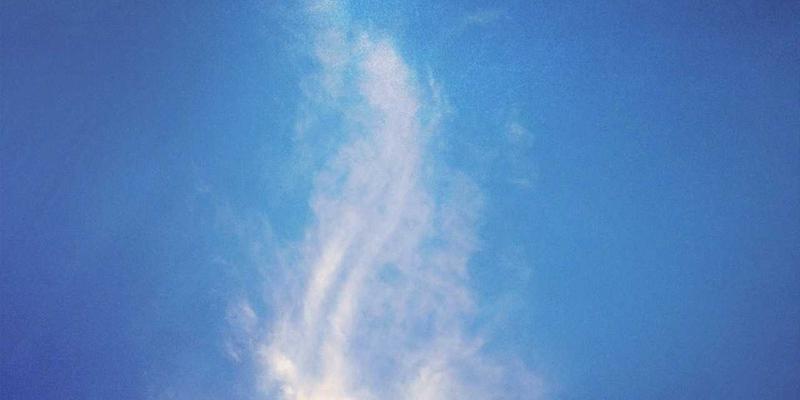 原木风花艺与鲜花速递：科学揭示花卉如何缓解焦虑与提升幸福感