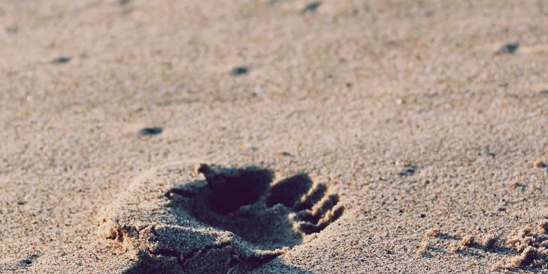 原木风花艺：当自然美学遇见鲜花速递，打造独一无二的治愈系花束