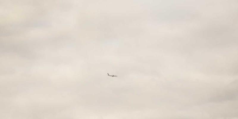 城市阳台花园打造指南：小空间实现四季鲜花不断的秘诀