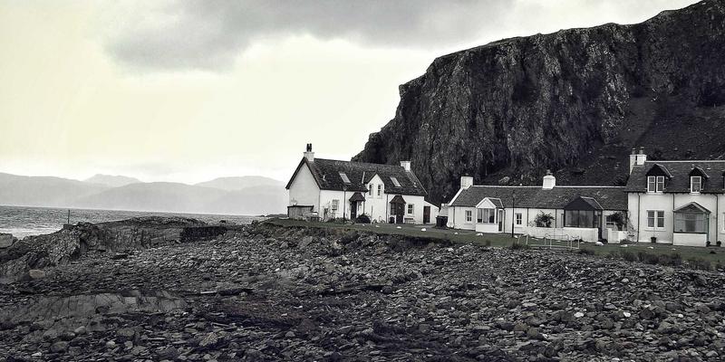 干燥花与永生花制作教程：长久保存鲜花之美的原木风花艺指南