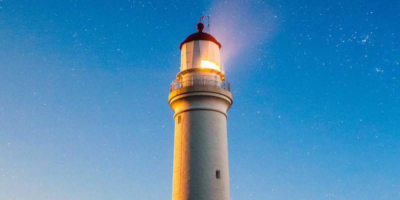 永生花与鲜花对比：从花艺设计到鲜花速递的全面解析
