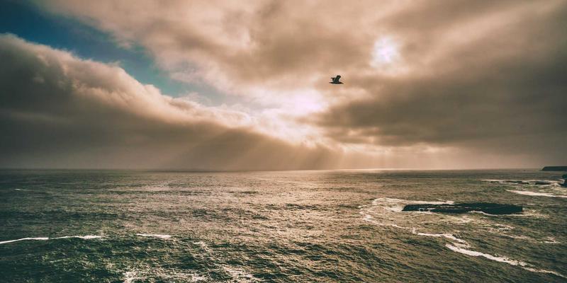 永生花与鲜花深度对比：从花艺工艺到保存时长，你的送礼场景该如何选择？