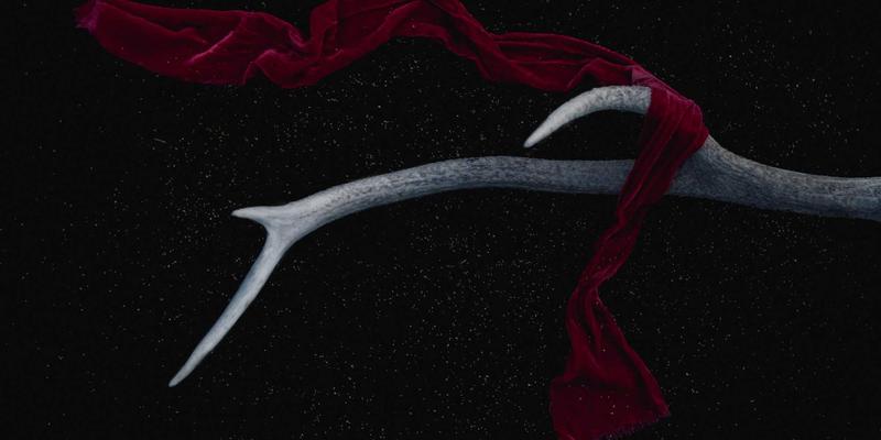 疗愈系花艺设计：用原木风花艺与鲜花速递打造家庭心理健康空间