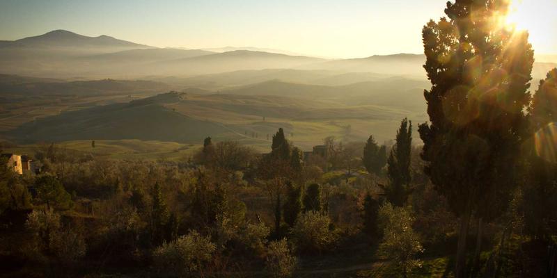 花艺新生态：鲜花废弃物的华丽转身，从花束到有机堆肥的循环经济