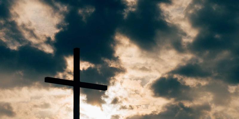 花艺设计新革命：从花束保鲜到花艺持久的科学全攻略