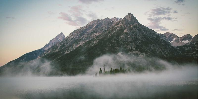 鲜花19：现代花艺与速递服务如何重塑我们的赠花体验