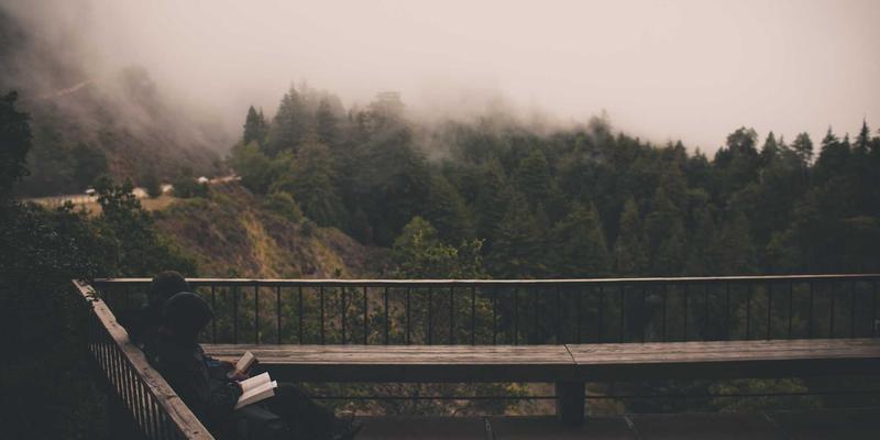 鲜花21：当花束邂逅原木风花艺，重新定义自然美学