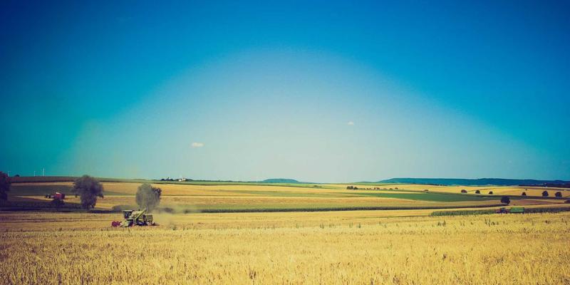 鲜花56：数字时代的花艺革新与鲜花速递服务全解析