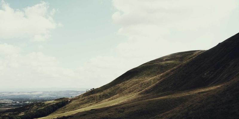 鲜花79：解锁高性价比花艺美学，让生活与仪式感完美融合