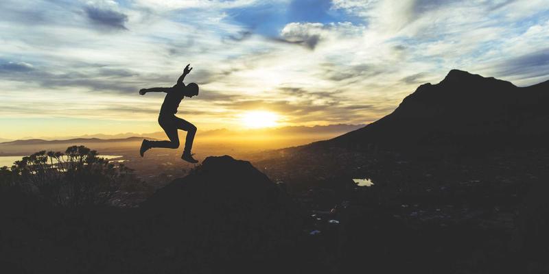 鲜花85：从花束到花艺设计，探索现代鲜花的情感表达与美学价值