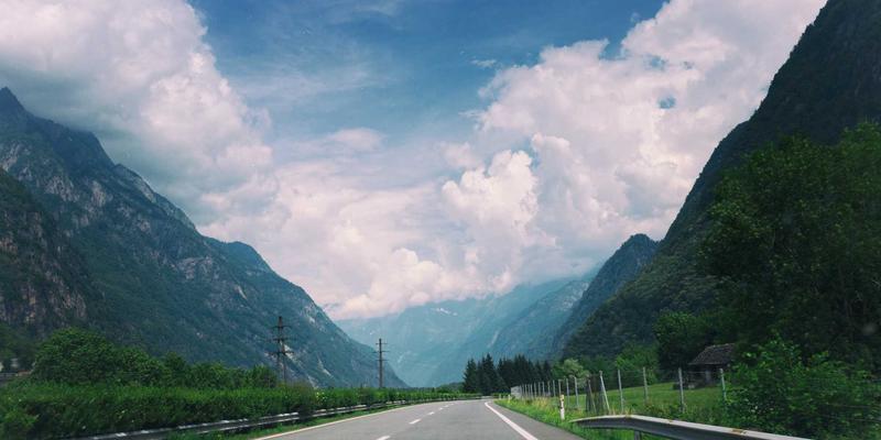 鲜花入门指南：从花艺设计基础到日常养护全解析