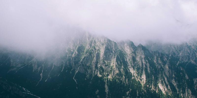 鲜花养护技巧：掌握这5个秘诀，让切花寿命轻松延长一倍