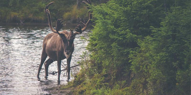 鲜花怎么用？解锁花艺设计、花束搭配与日常应用的创意指南