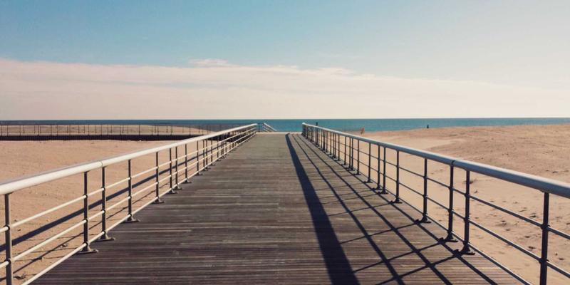 鲜花艺术装置：大型商业空间与公共艺术中的沉浸式花艺设计