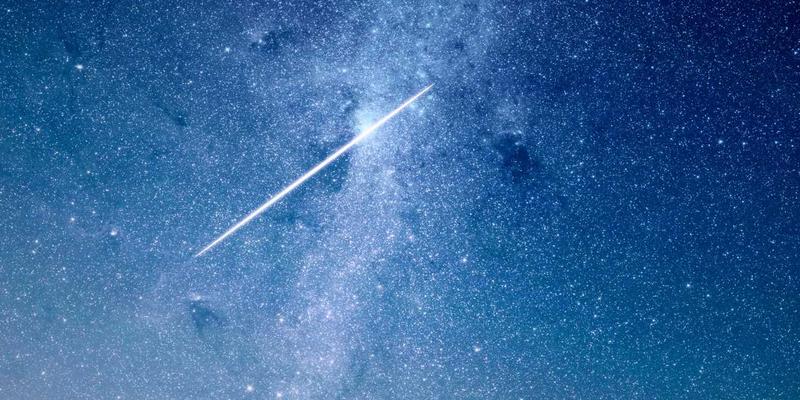 鲜花速递指南:如何通过专业花艺与配送服务传递心意