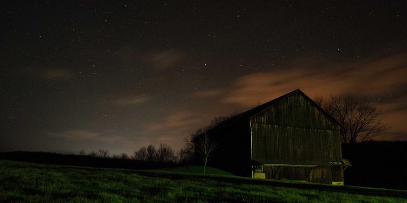 鲜花配送开启儿童教育新篇章：如何通过花艺活动培养孩子的自然观察力与创造力